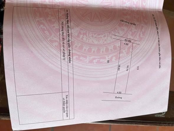 Đất nền Văn Giang 85m² giá 4x triệu/m² - Sổ đỏ chính chủ, nhiều tiện ích!