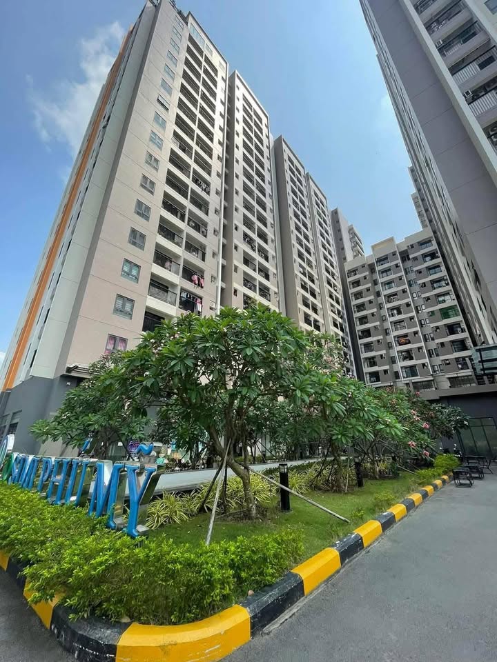 Căn hộ Osimi Phú Mỹ 55m² giá 2.08 tỷ - Sẵn sàng sở hữu ngay!