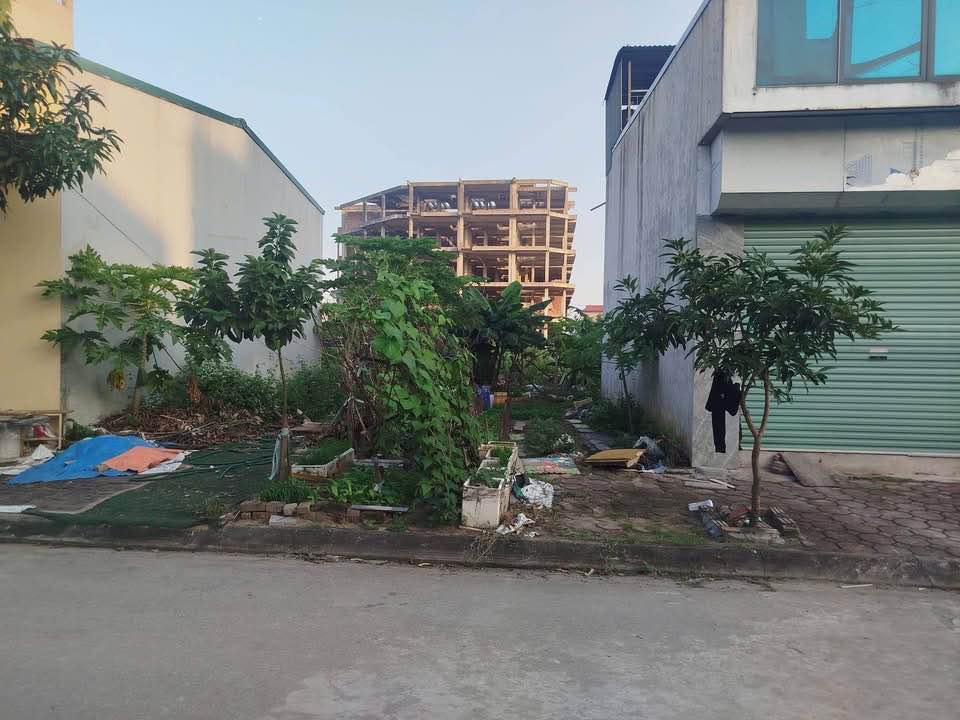 Đất Tái định cư Trâu Quỳ 36.7m² giá 7.6 tỷ - Khu vực đáng sống đẳng cấp!