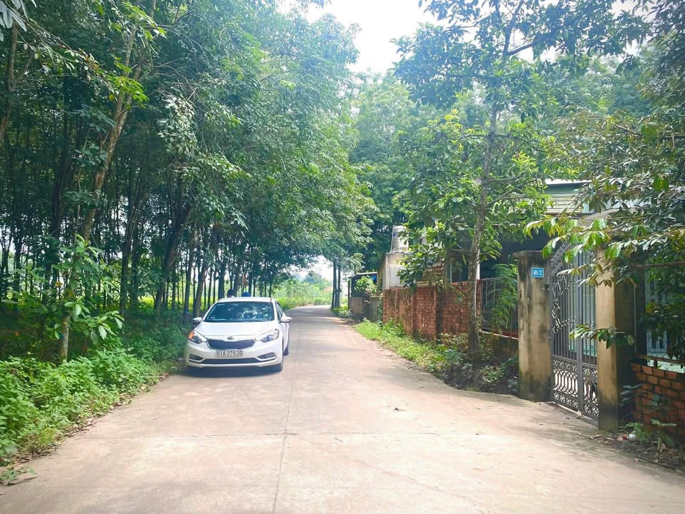 Đất nền Vĩnh Hòa Phú Giáo 2300m² giá 3 tỷ - Cơ hội đầu tư tuyệt vời!