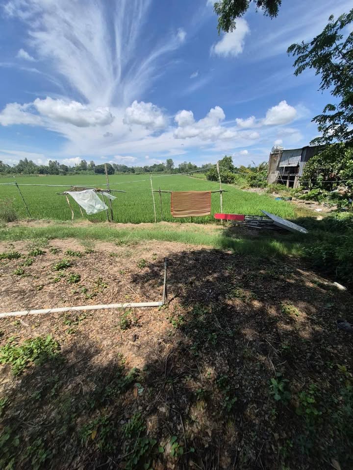 Đất nền Cần Đăng, Châu Thành 50000m² giá 1.15 tỷ - Mặt tiền rộng, tiện ích đầy đủ!