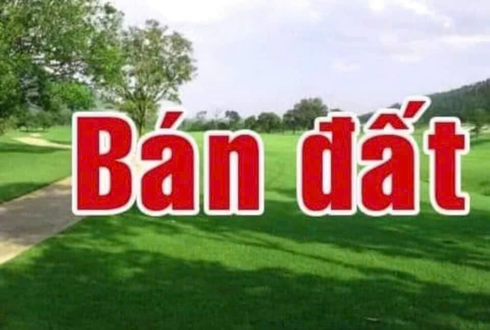 Đất nền chính chủ tại Khu 5 - Thanh Đình, 112m² giá 990 triệu - Đường thông ô tô tải chạy vèo vèo!