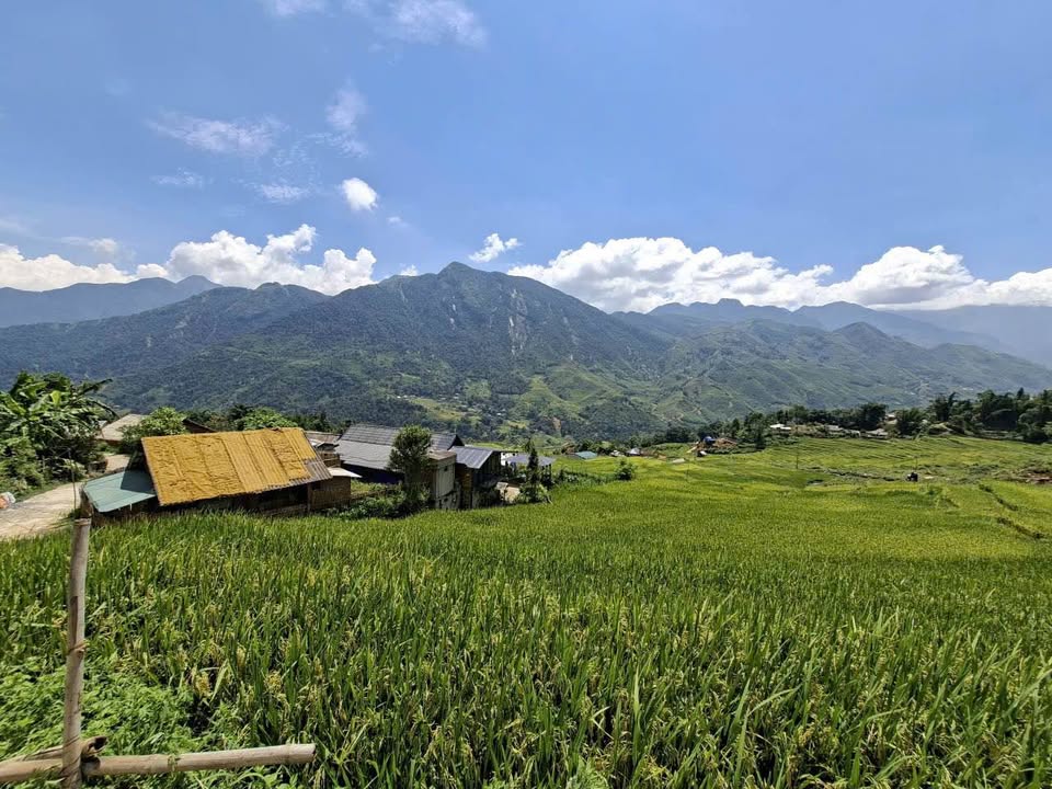 Nhà đẹp tại Thôn Hòa Sử Pán 1 - Xã Tả Van 250m² giá chỉ 500 triệu - Cơ hội đầu tư tuyệt vời!