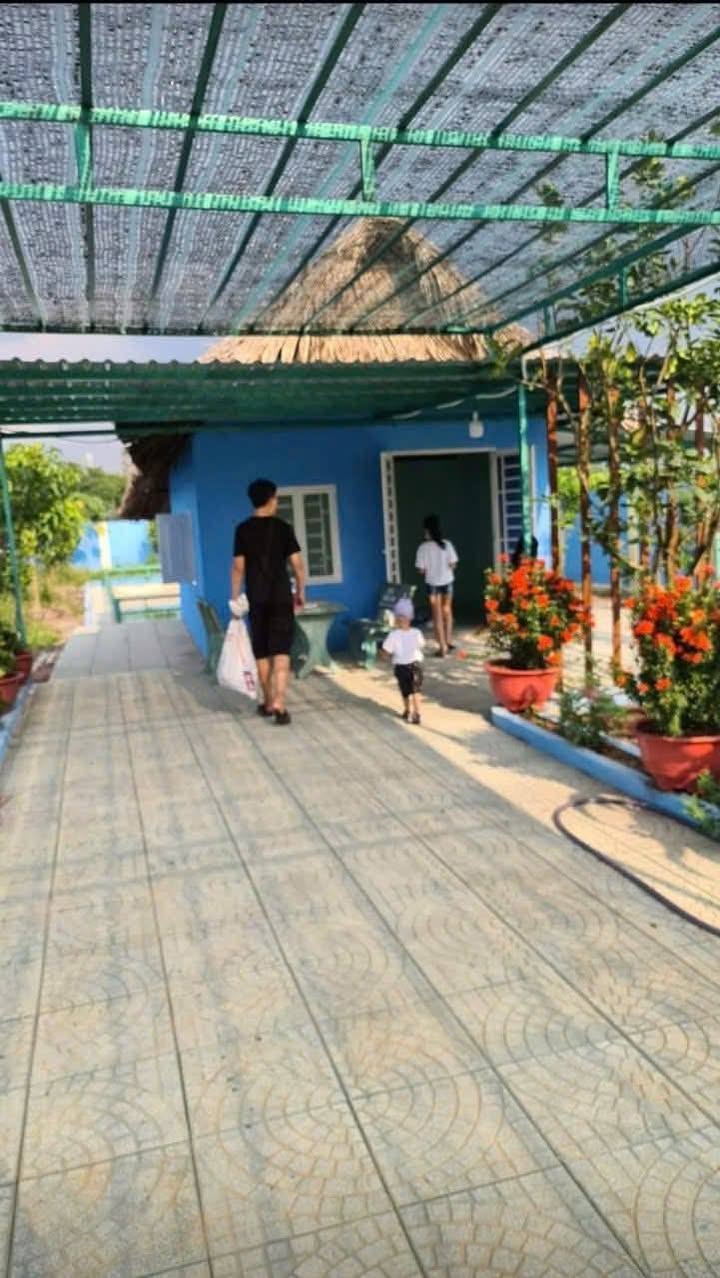 Nhà vườn Cầu Cây Xanh, Bình Mỹ, Củ Chi 571m² giá 3.3 tỷ - Không gian nghỉ dưỡng lý tưởng!