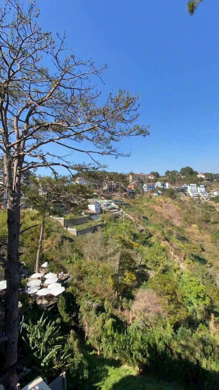 Nhà cho thuê đường Hoàng Hoa Thám, Đà Lạt 1400m² - View thung lũng tuyệt đẹp!