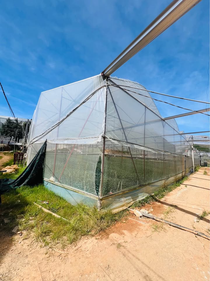 Đất nền Đa Phú, Đà Lạt 500m² giá 2.8 tỷ - Thích hợp làm kho, bãi