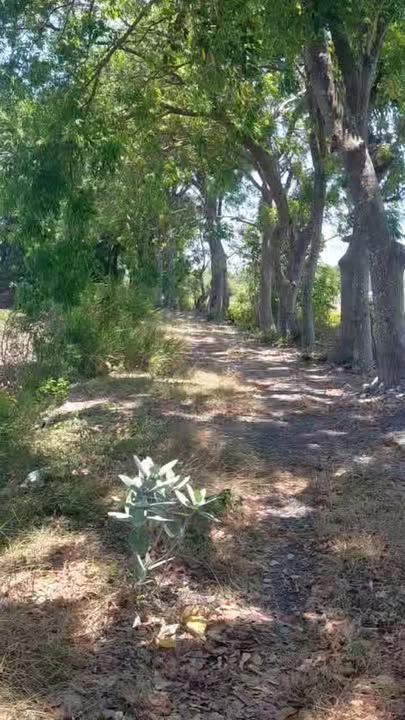 Đất nền Phước Hải, Long Đất 16,000m² giá 10 tỷ - Tiềm năng phát triển vượt trội!