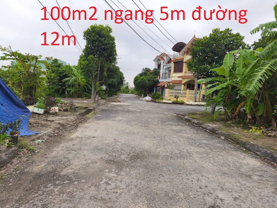 Đất nền tái định cư Hòa Nghĩa 100m² giá 2 tỷ - Tiềm năng đầu tư hấp dẫn!