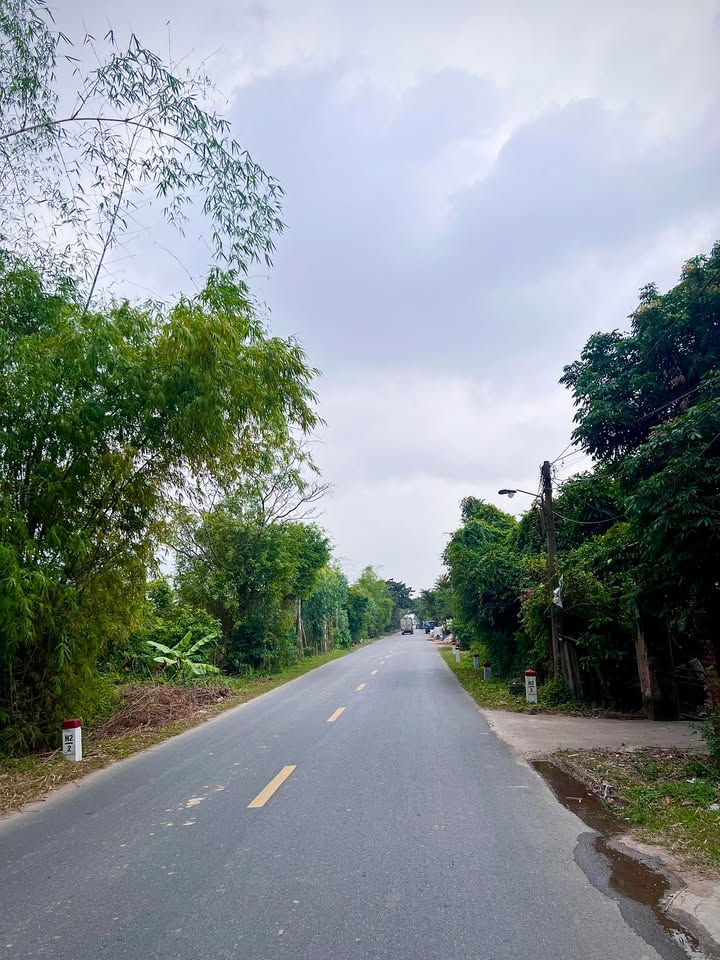 Đất nền Cẩm Giàng 100m² giá 3,6 tỷ - Cơ hội đầu tư hấp dẫn!