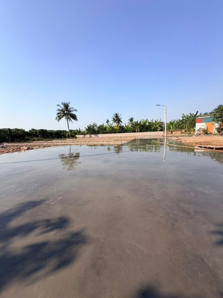 Đất thổ cư 100m² tại Thanh Cường, Thanh Hà - Giá chỉ 600 triệu - Sẵn sàng sở hữu ngay!