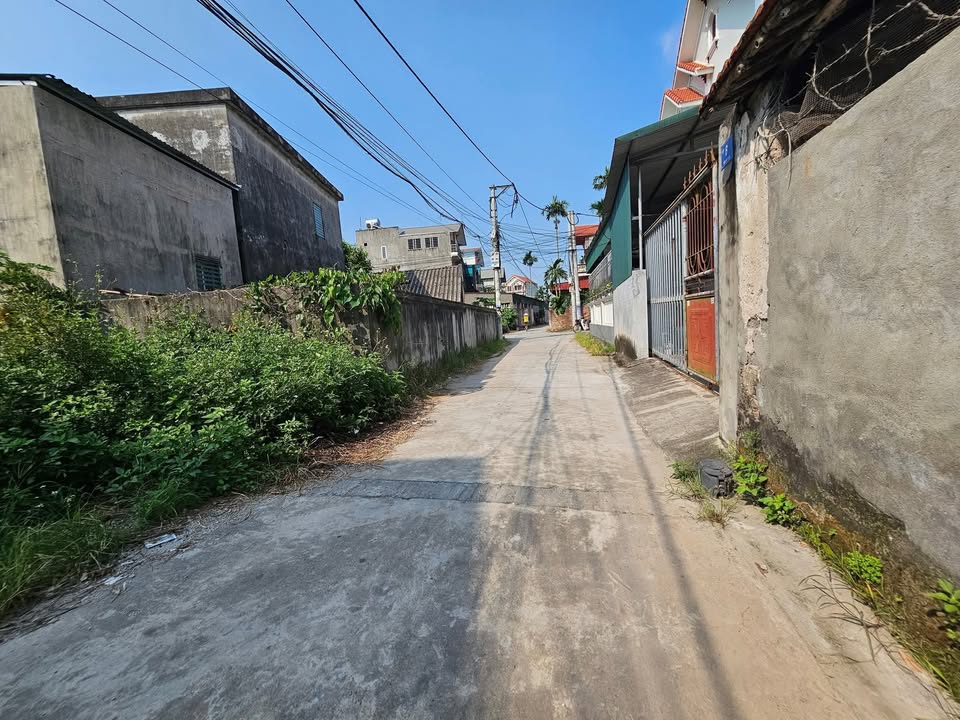 Đất nền Tân Hưng Hải Dương 80m² giá thỏa thuận - Đầu tư sinh lời ngay!