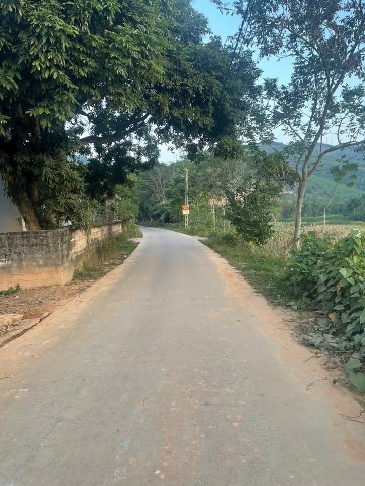 Đất nền Cự Đồng - 210m² - Giá thỏa thuận, cơ hội đầu tư tốt!