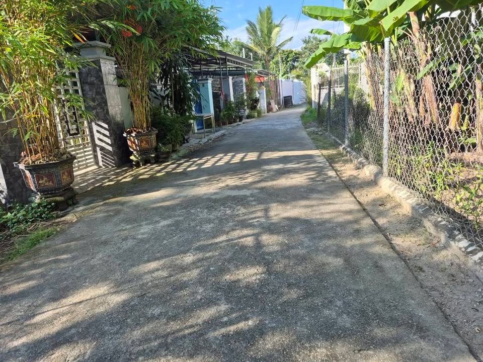 Đất vườn Diên An 234m² giá 1.755 tỷ - Nở hậu đẹp, đường xe hơi tận nơi!