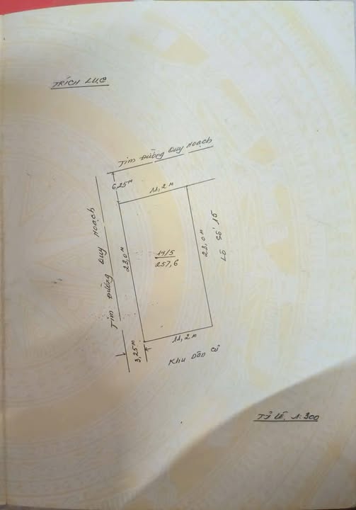 Đất nền 3 mặt thoáng khu biệt thự Bình An, Hải Phòng 257.6m² - Giá chỉ 12.33 tỷ VND!