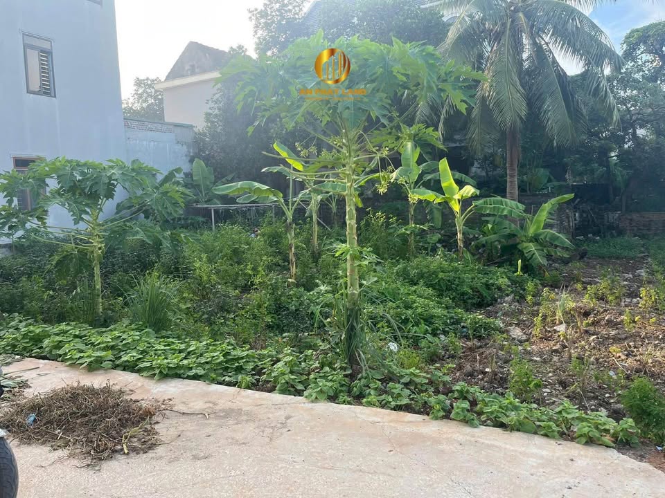 Lô đất Ninh Khánh 97m² giá 3 tỷ - Đầu tư lâu dài, vị trí trung tâm!