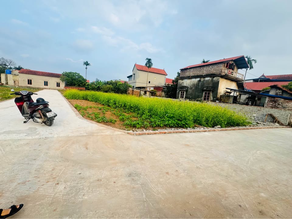 Lô Đất Ông Đình Hưng Yên 68m² chỉ 1.7 tỷ - Cơ hội đầu tư vàng!