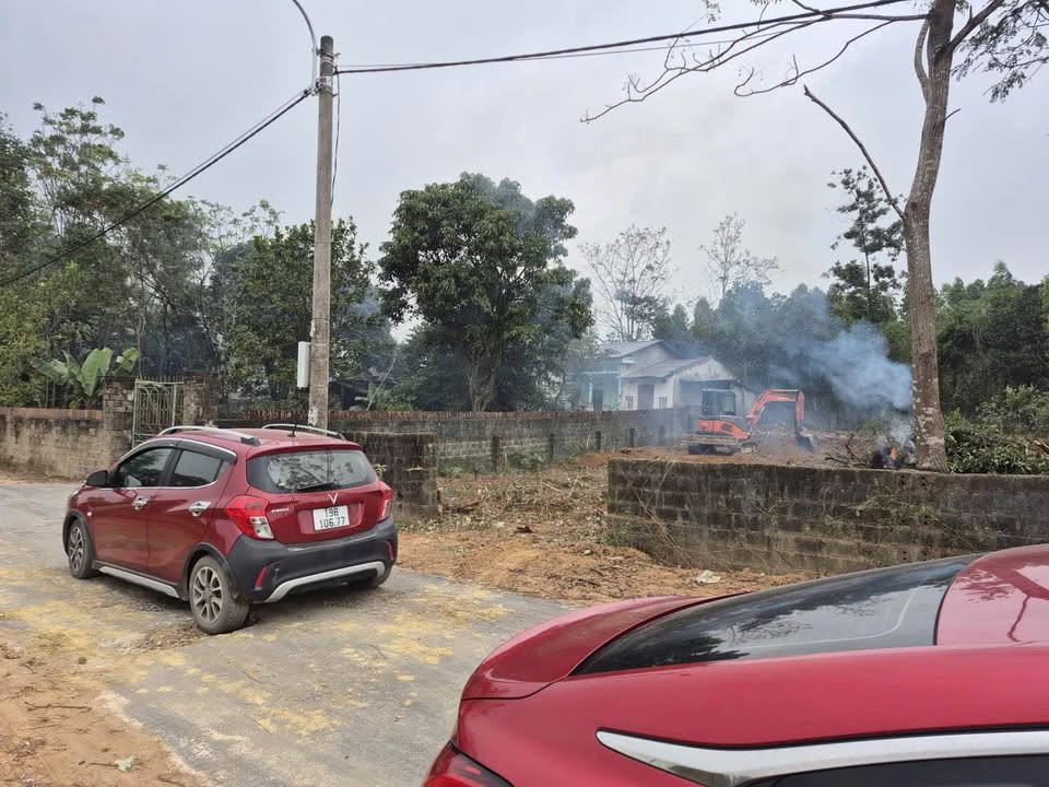 Đất nền Tam Dương 536m² giá 2.8 tỷ - Cơ hội đầu tư hiếm có!