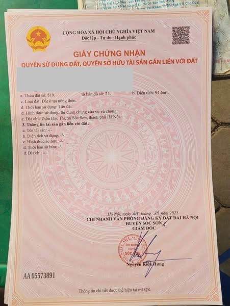 Đất nền góc 3 mặt tiền tại Mai Đình, Sóc Sơn - Diện tích 94.6m², giá 3 triệu/m² - Cơ hội đầu tư tuyệt vời!