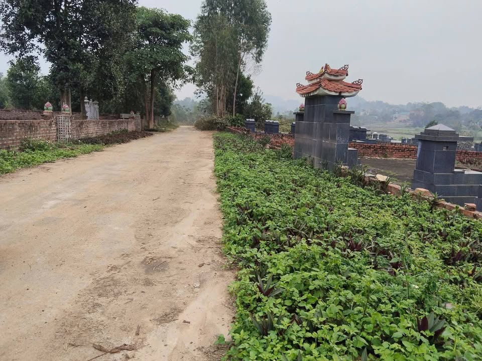 Đất nghĩa trang 80m² tại Thanh Vân, Tam Dương - Giá chỉ 1,5 triệu/m²
