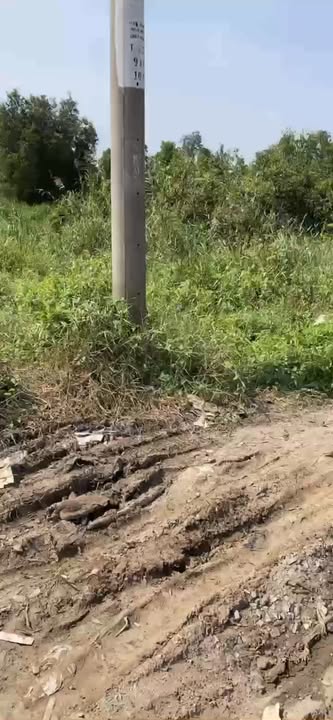 Đất nền Vĩnh Lộc A, Bình Chánh 3000m² giá 1.5 tỷ - Cơ hội đầu tư hấp dẫn!