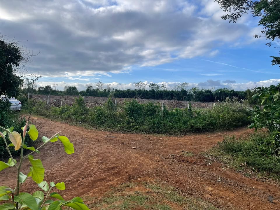 Đất nền Cư M'gar Đắk Lắk 8000m² giá 6.4 tỷ - Vị trí đắc địa 3 mặt tiền!