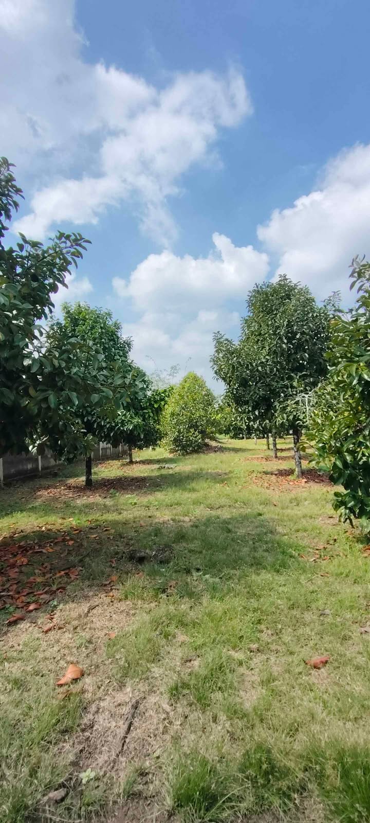 Đất vườn Bình Lộc 360m² giá 1 tỷ - Cơ hội đầu tư sinh lời!