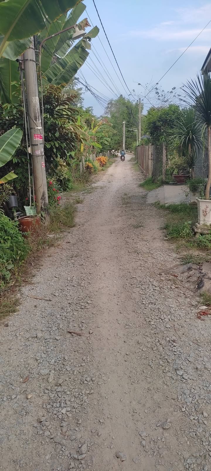 Đất nền xã Vĩnh Trạch, huyện Thoại Sơn 4122m² giá 400 triệu - Khu vực yên tĩnh, thuận lợi đầu tư!