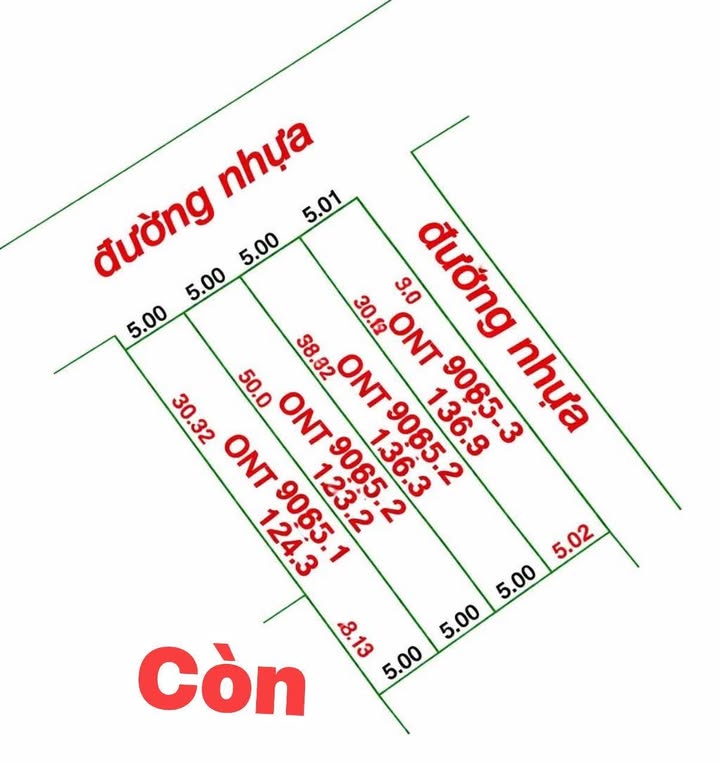 Đất nền Bình Chánh 145m² giá thỏa thuận - Vị trí tiềm năng phát triển nhanh!