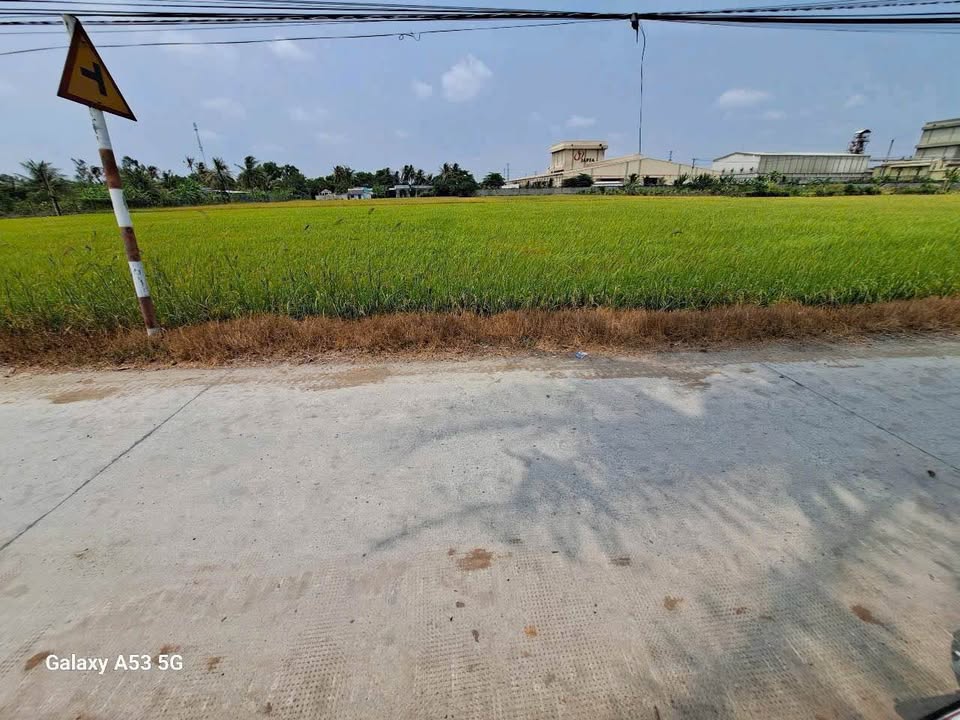 Đất thổ cư 1000m² Ấp 2 Nhựt Chánh Bến Lức giá 1.999 tỷ - Tiềm năng đầu tư cao!