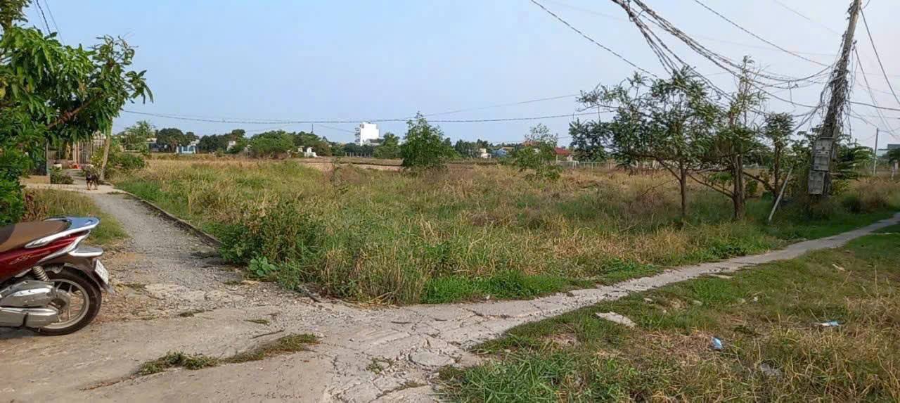 Đất lúa 1000m² tại ấp Thanh Ba, Cần Giuộc - Giá chỉ 1.8 tỷ, thương lượng ngay!