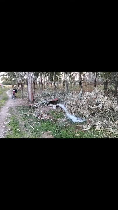 Đất thổ cư Tiên Thuận, Bến Cầu 97m² giá chỉ 100 triệu - Cơ hội đầu tư tuyệt vời!