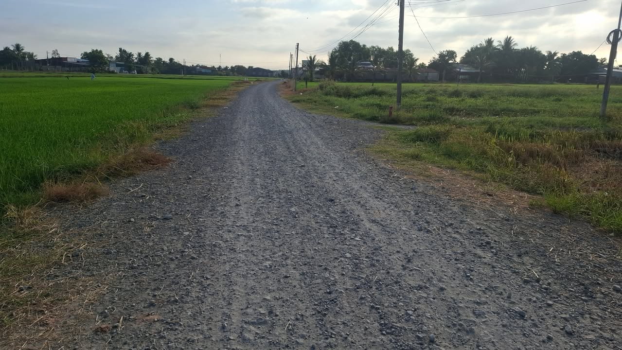 Đất nền An Thạnh Bến Cầu 1200m² giá 75 triệu - Cơ hội đầu tư sinh lời!