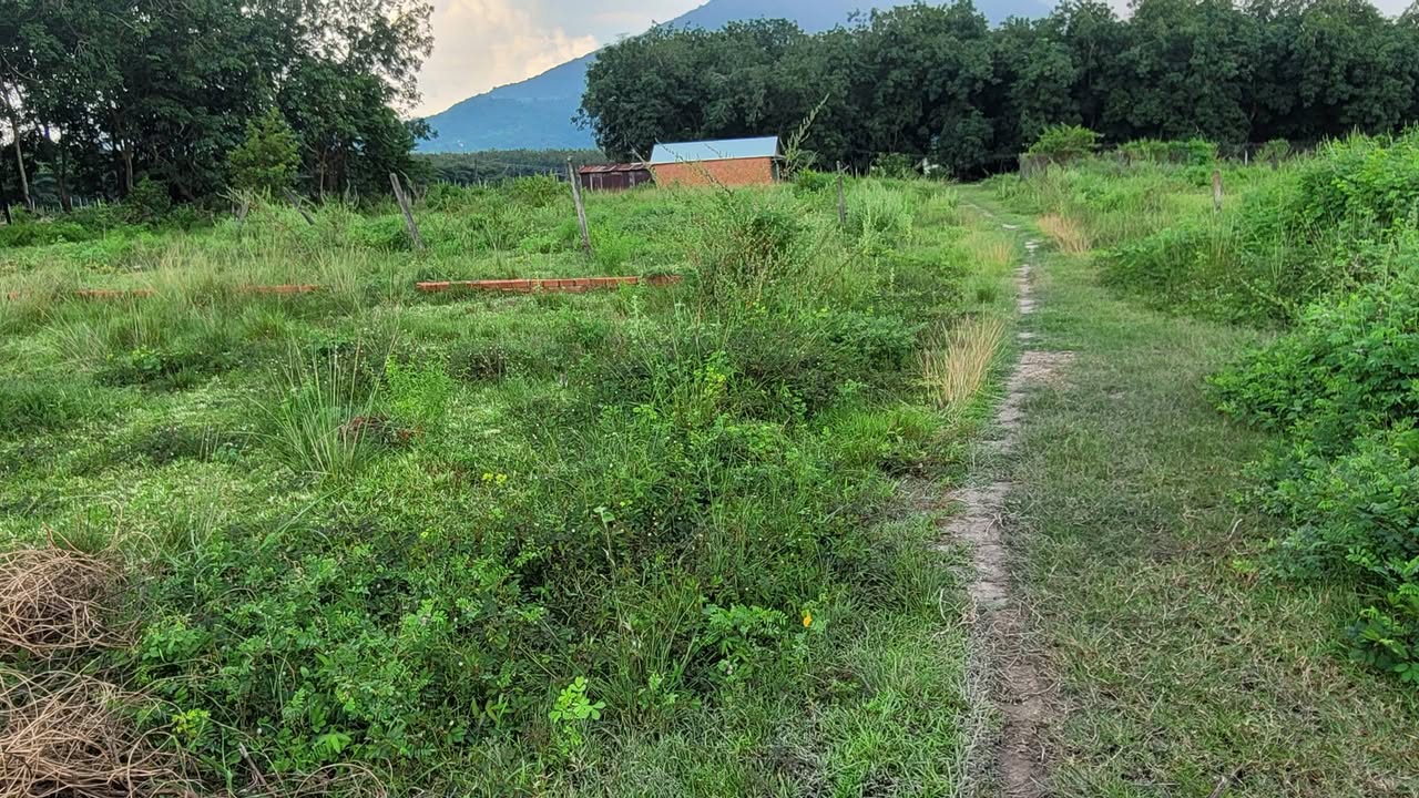 Đất nền phường Ninh Sơn Tây Ninh 330,5m² giá 630 triệu - Cơ hội đầu tư tuyệt vời!