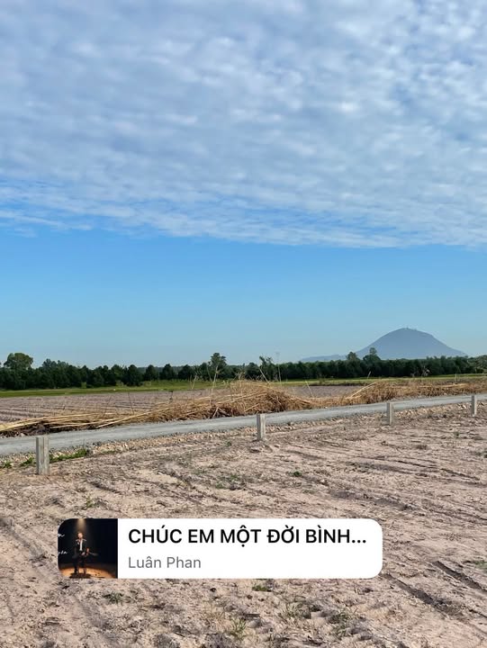 Đất thổ cư Long Chữ, Bến Cầu 275m² - Giá đầu tư hấp dẫn chỉ 100m từ Tỉnh lộ 786!