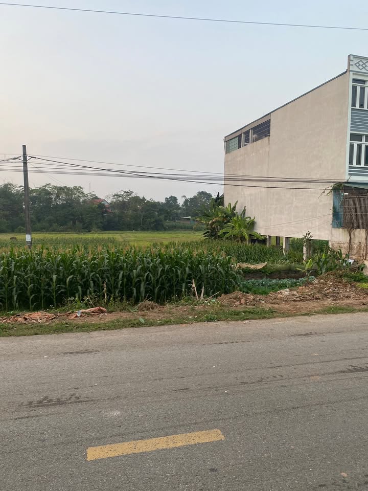 Đất nền Yên Thạch Sông Lô 100m² giá 2 tỷ - Vị trí đẹp, không lỗi nhỏ!