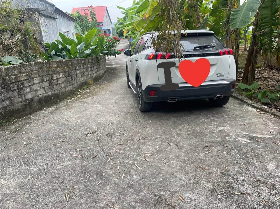 Đất nền 80m² tại Kỳ Sơn, Thủy Nguyên - Giá chỉ 500 triệu, cơ hội đầu tư hiếm có!