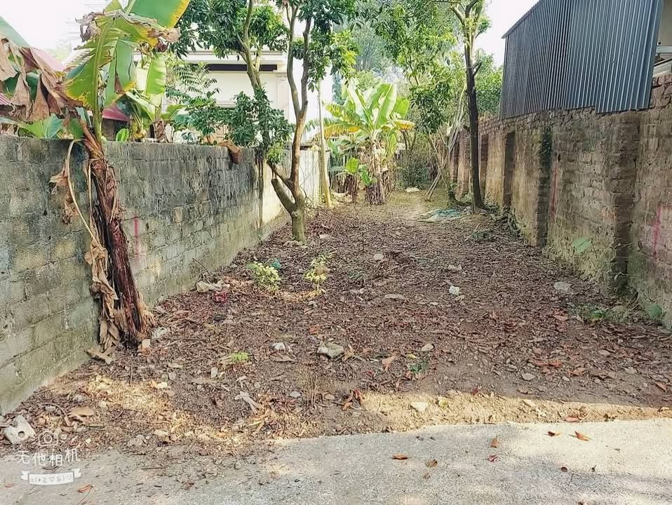 Đất thổ cư 286m² tại Tùng Thiện, Sơn Tây - Giá chỉ 10 triệu/m², sổ đỏ chính chủ!