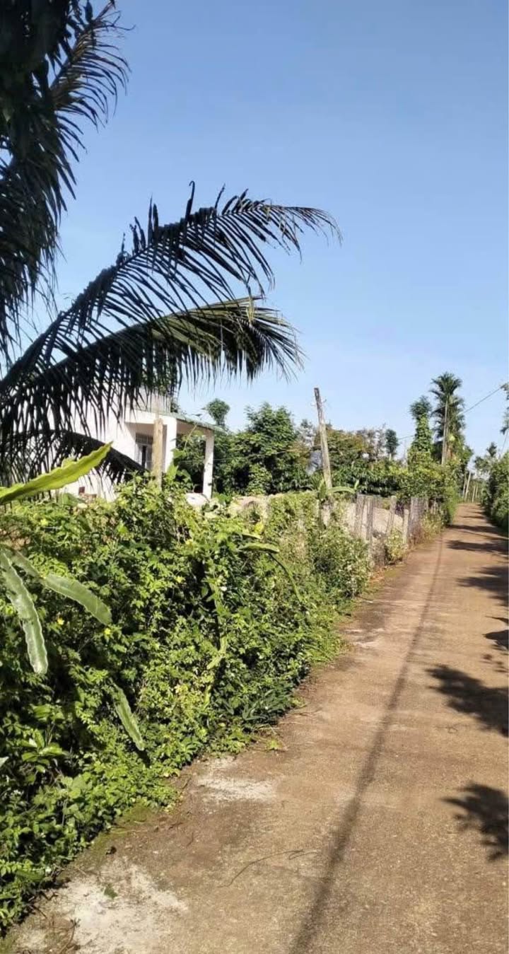 Đất đẹp Nhân Cơ, Đắk R'Lấp 4060m² giá 1 tỷ - Cơ hội đầu tư hấp dẫn!