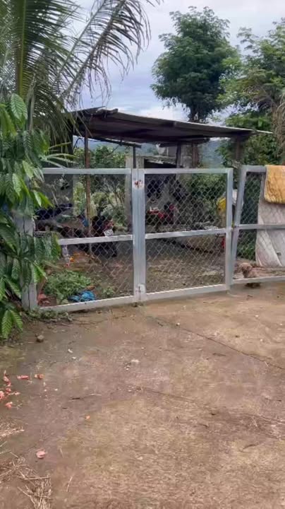 Đất nền 6 sào tại Đắk Lao, Đắk Mil chỉ 2 tỷ - Cơ hội đầu tư tuyệt vời!