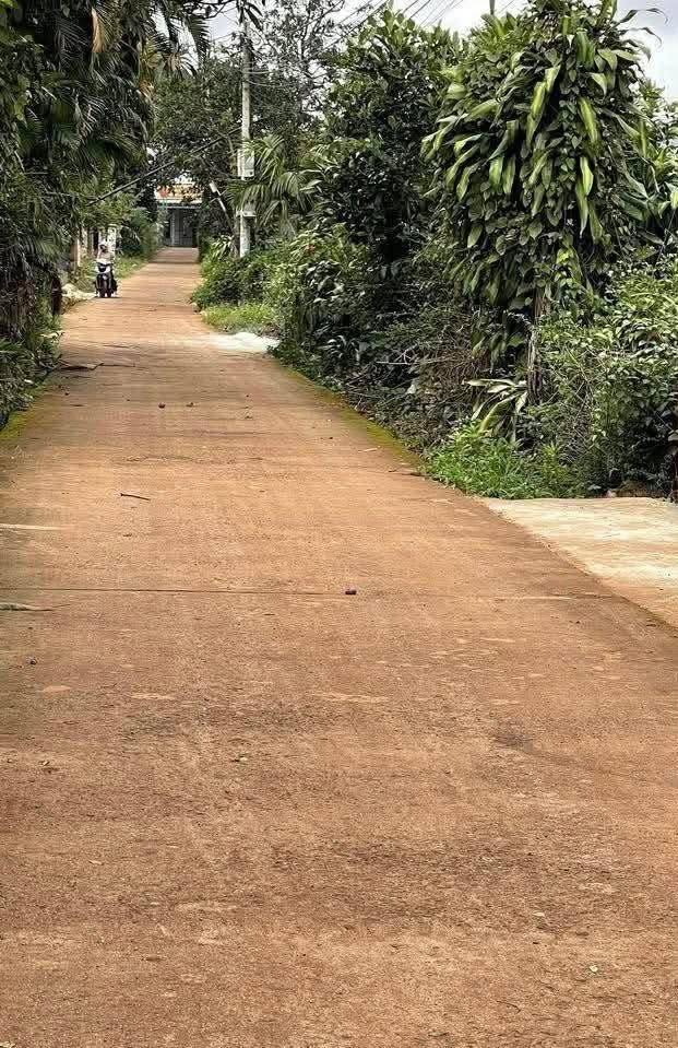 Đất nền Thôn Đức An, Đắk Mil 220m² giá 800 triệu - Pháp lý rõ ràng, sẵn sàng sang tên!