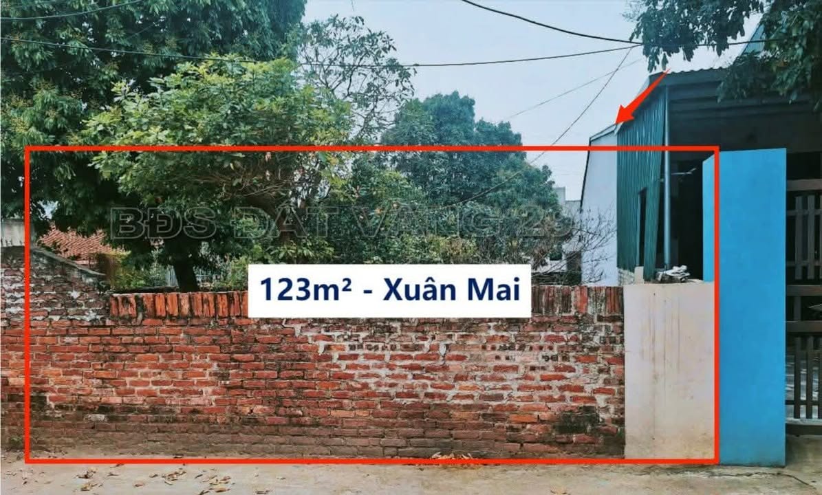 Bán đất Thị Trấn Xuân Mai 123m² giá 1 tỷ - Địa điểm tiềm năng cho đầu tư!