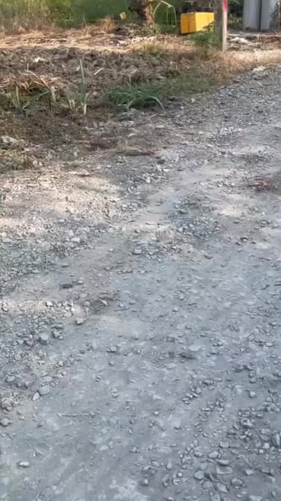 Bán đất tại Phú Thành, Đồng Tháp 247.97m² giá 515 triệu - Cơ hội đầu tư tuyệt vời!