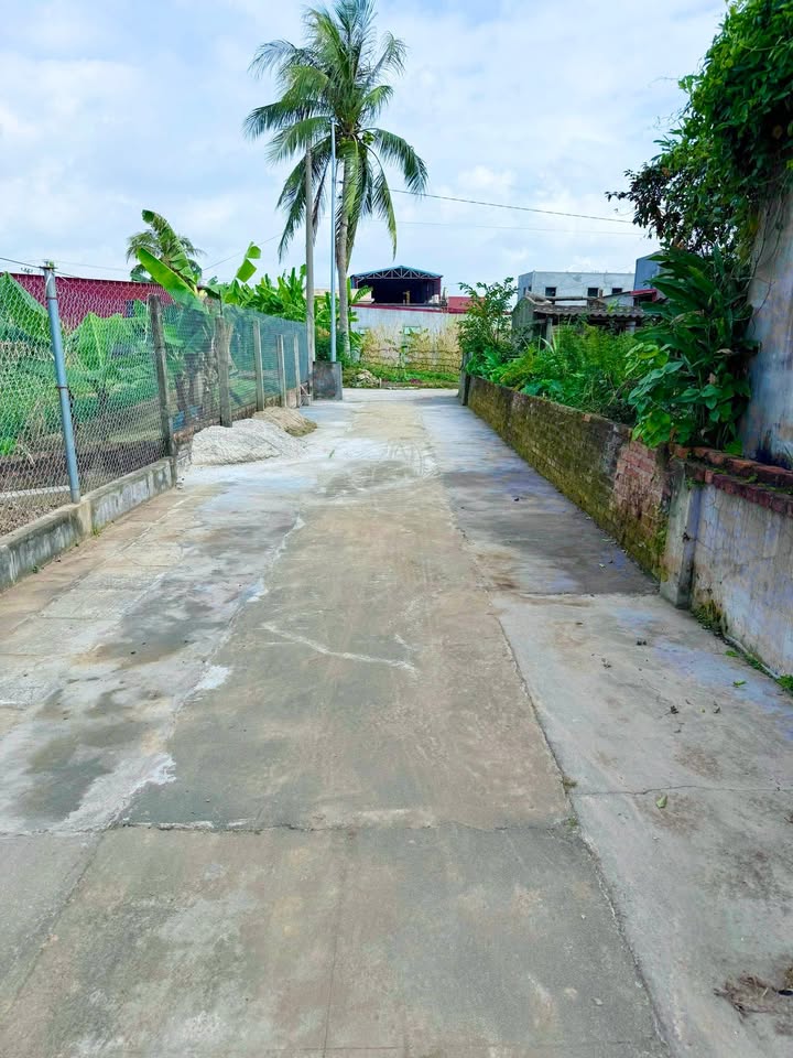 Đất nền An Hưng, Hải Phòng 83m² - Dân trí cao, an ninh tốt!