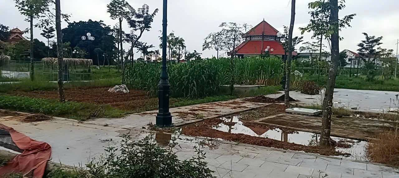 Đất đấu giá tại xã Tam Sơn, Cẩm Khê, Phú Thọ 85m² - Giá thỏa thuận hấp dẫn!