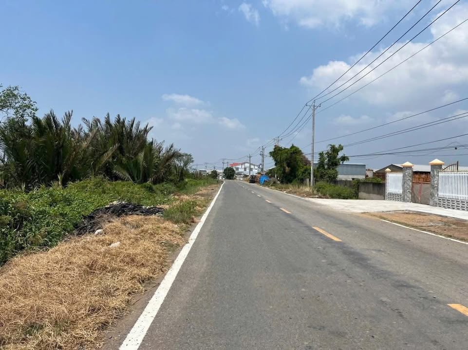 Đất nền 9000m² tại Ấp 3, Bình Thới, Bến Tre - Cơ hội đầu tư lý tưởng!