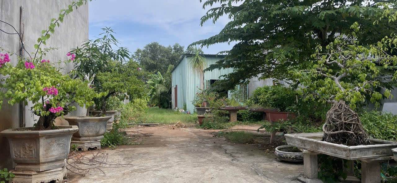 Đất mặt tiền Chi Lăng, P12, Vũng Tàu 466m² giá 1.8 tỷ - Cơ hội đầu tư sinh lời!