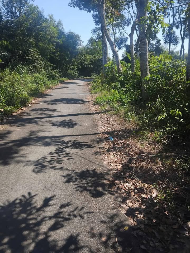 Đất thổ cư 300m² tại Đoàn Minh Triết, Củ Chi 3901m² - Cơ hội đầu tư hấp dẫn!