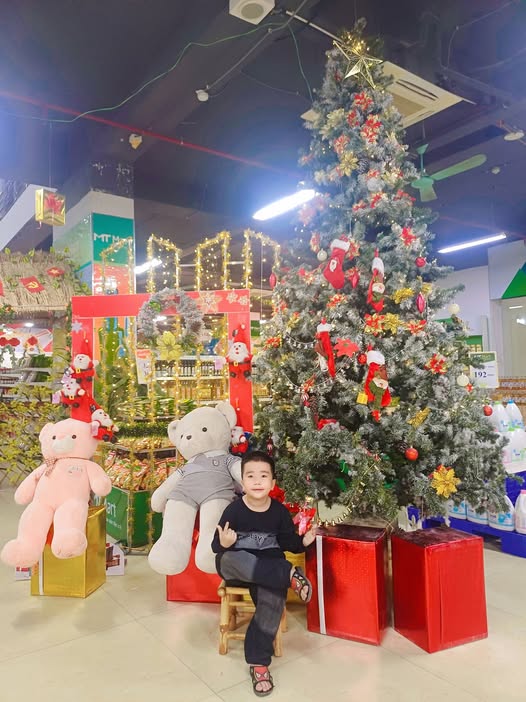 Đất nền Quỳnh Thiện Hoàng Mai 129m² giá chỉ 500 triệu - Cơ hội đầu tư hiếm có!