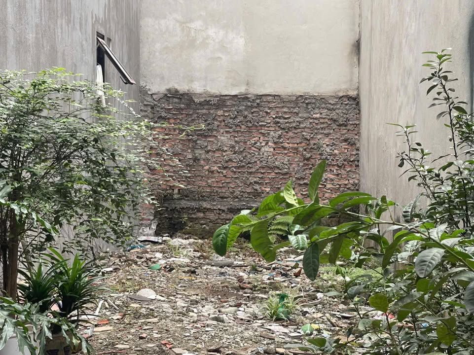 Đất nền Lĩnh Nam 46.2m² chỉ 6 tỷ - Sổ đỏ chính chủ, vị trí đẹp!