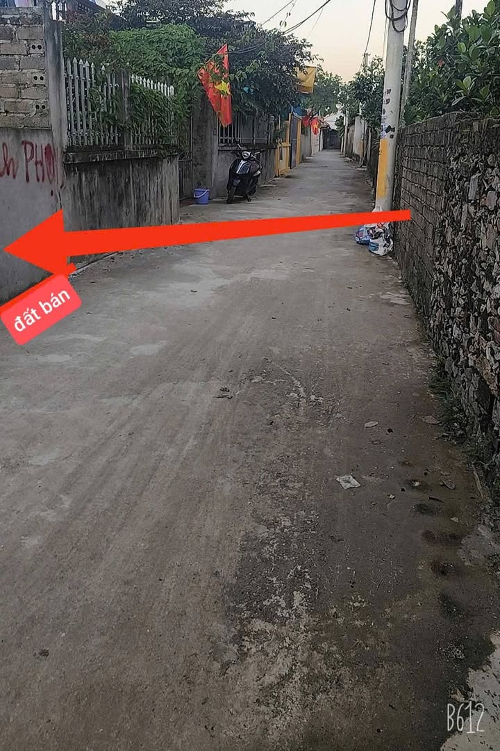 Đất thổ cư Hòa Xá 504m² giá chỉ 1x triệu/m² - Cơ hội vàng không thể bỏ lỡ!